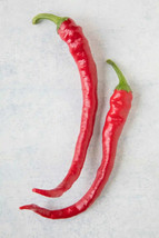 GIB 25 Seeds Easy To Grow Aji Sivri Chili Peppers Large Vegetable Edible Food Ho - £7.13 GBP