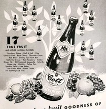 1953 Colt Black Cherry Soda Real Fruit Advertisement Pop Carbonated Drin... - €26,12 EUR