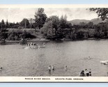 Rogue River Beach View Grants Pass Oregon OR UNP Unused Albertype Postca... - $18.66
