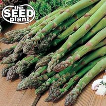 Mary Washington Asparagus Seeds -50 Seeds Non-gmo - £3.09 GBP
