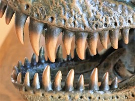Tyrannosaurus T-REX Skull Resin Large Model Tooth Dinosaur Replica Bone Big Rex - £100.16 GBP