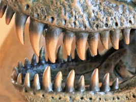 TYRANNOSAURUS T-REX SKULL RESIN LARGE MODEL TOOTH DINOSAUR REPLICA BONE ... - $125.00