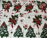 Vip Cranston Christmas Star Dust Applique Sewing Kit Panel Candy Cane Po... - $22.25