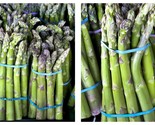 300 seeds Asparagus, Mary Washington, Fresh Garden - £23.59 GBP