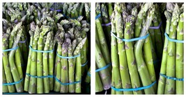 300 seeds Asparagus, Mary Washington, Fresh Garden - £23.44 GBP