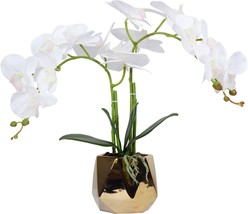 Wandw Decorative Orchid Plants - £38.49 GBP