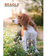 Beagle Calendar 2026 - $13.99