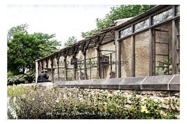 ptc9458 - Yorks - Early view of Bird Aviary in Wilton Park, Batley - print 6x4 - £2.09 GBP