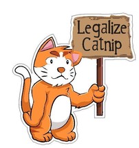 Legalize Catnip Sticker Decal R6247 Funny Sticker Marijuana Cat Kitten Joke - £1.16 GBP+