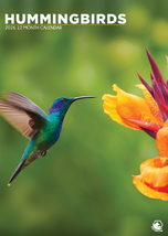 Hummingbirds Calendar 2026 - $19.99
