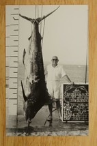 Vintage Postcard California RPPC Photo Pamilla Baja CA Record Black Marlin Fish - £20.56 GBP