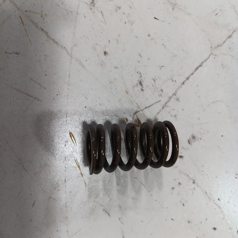 Jeep Compass 2.4 Cylinder Head Intake Valve Spring 2017 2018 2019 2020 2... - $19.94