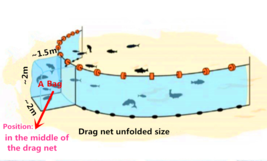 Bait Seine/ Drag Net-10x10mm or 5x5mm Meshholes Nylon Fishing Net with a Bag - £205.08 GBP+