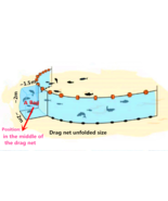Bait Seine/ Drag Net-10x10mm or 5x5mm Meshholes Nylon Fishing Net with a... - $312.44+