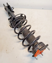 Shock Strut Spring 2573034101 | CEA0828 | 0832910-2206-036 - $81.44