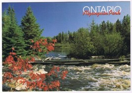 Postcard Sasajewun Falls Algonquin Park Ontario 4 3/4&quot; x 6 3/4&quot; - £3.08 GBP