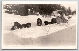 Juneau Alaska RPPC Dog Team Real Photo Postcard V28 - £15.79 GBP