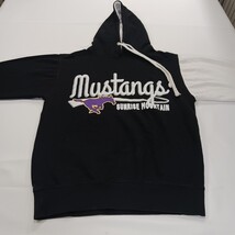 Mustangs Sunrise Mountain Men's Black/White Hoodie Graphic Sweatshirt Size Small image 11