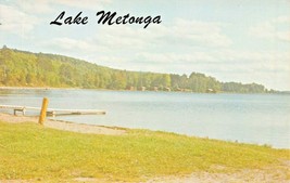 Crandon Wisconsin~Lake Metonga &amp; Dock~Don Bingham Postcard - £5.46 GBP