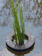 Floating Planter Round 14&quot; (35cm), Aquatic Water Garden Pond Planting Ba... - £26.80 GBP