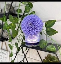 Scentsy Fragrance Flower Zennia Zen - $19.79