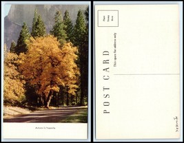 California / Yosemite National Park Postcard - Autumn / Fall Scene J31 - £2.32 GBP