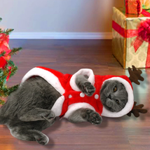 Festive Santa Claus Dog Costume For Small Dogs - Perfect For Christmas Celebrati - £11.09 GBP+