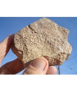 URANIUM ROCK: JURASSIC TODILTO LIMESTONE 10.7 OZ 46363. CPM   $38.00 +$12.80 S/H - $38.00