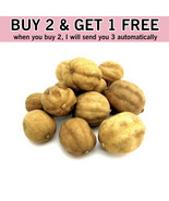 Buy 2 Get 1 Free | 100 Gram Persian Dried lime yellow Omani Whole lemon ... - $34.00