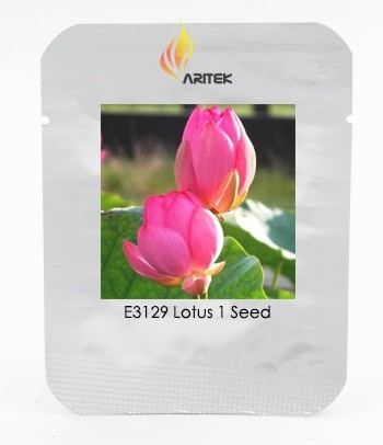 SL Heirloom Red Double-Headed Nelumbo Nucifera Lotus Flower Seeds, Profe... - $0.80