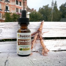 Osha Root Tincture - (Respiratory System) - Alcohol Free - £12.93 GBP