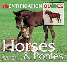 Horses &amp; Ponies: Identification Guide by Cecilia Fitzsimons,David Burn.Brand New - £7.84 GBP