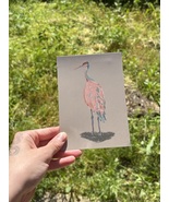 Sandhill Crane Individual Post Card - $93.47 MXN
