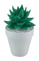 Zeckos Bright Green Mini Ceramic Succulent in White Round Planter - £11.09 GBP