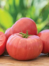 Arkansas Traveler Tomato Seeds Bulk 100 Count Meaty Juicy Fruits Fresh Garden - £8.63 GBP