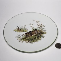 Bareuther Waldsassen Rabbit in Forest 7 7/8&quot; Plate Bavaria Germany Hare Bunny - £12.02 GBP