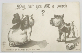 Antique 1909 FA Moss Say But You Are A Peach Dog Postcard Franklin 1 Cent Stamp - $9.49