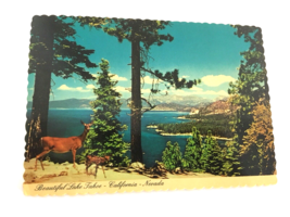 Lake Tahoe California Nevada Postcard Photo Dexter Supreme Deer Wildlife... - £219.47 GBP