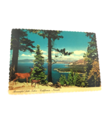 Lake Tahoe California Nevada Postcard Photo Dexter Supreme Deer Wildlife... - £224.56 GBP