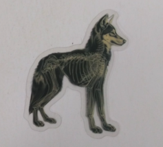 Wolf X-Ray Transparent Sticker 2.25&quot; x 2&quot; (AH) - $1.64