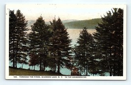 Postcard New York 1925 Through The Pines Trees Schroon Lake NY The Adirondacks - $4.85