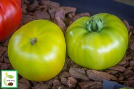 Item image 1 image 1