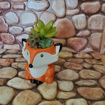 Mini Fox Planter with Succulent Arrangement, Succulent Gift, Animal Planter Pot image 3