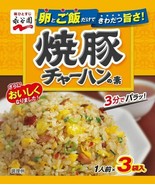 Nagatanien Seasoning mix for Roast Pork Fried Rice 10bag (3pack/bag) Fre... - $57.67 CAD