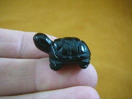 (Y-TUR-LA-504) Black Onyx Turtle Tortoise Carving Figurine Gemstone Baby Turtles - £6.88 GBP