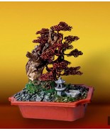 Bonsai Tree Sculpture, Copper wire tree sculpture, tree of life, home decor - $1,788.66 MXN