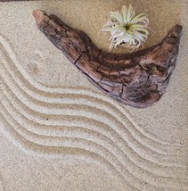 Meditation zen garden kit Tray with driftwood, air plants garden - £37.96 GBP
