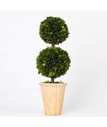 Preserved Boxwood Two Sphere Topiary Home Plant Potted in a Mossy Stone ... - €71,87 EUR