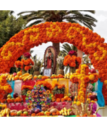 20 Pcs Set Artificial Marigold Flower Garlands Diwali Indian Wedding Dec... - $16.61 CAD+