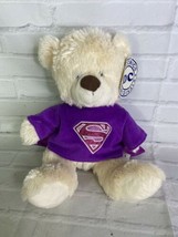 DC Comics Superman Supergirl Teddy Bear Plush Purple Cape Six Flags Excl... - $13.85